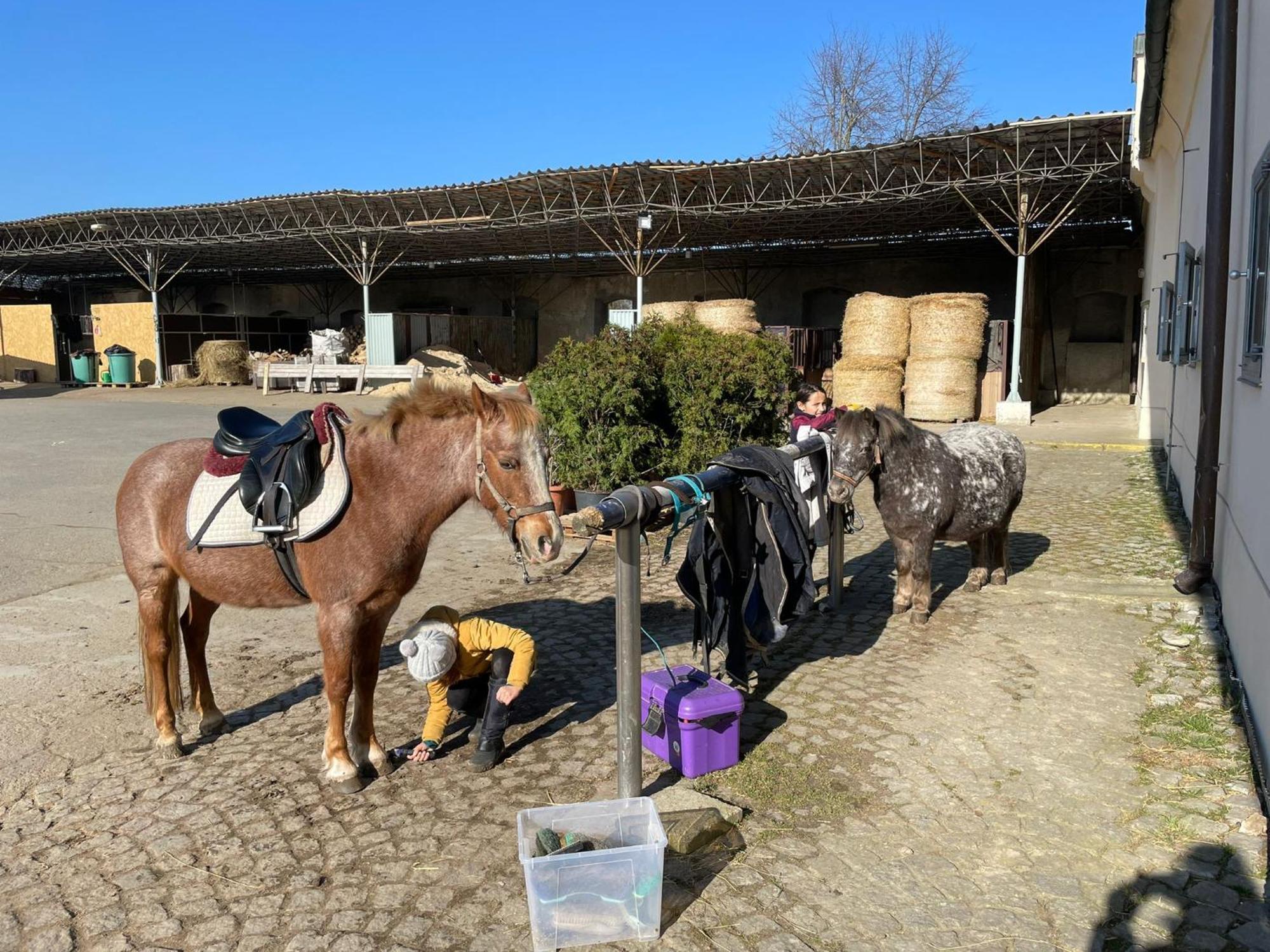 Dvur Nove Zamky Hotel Mladec Buitenkant foto