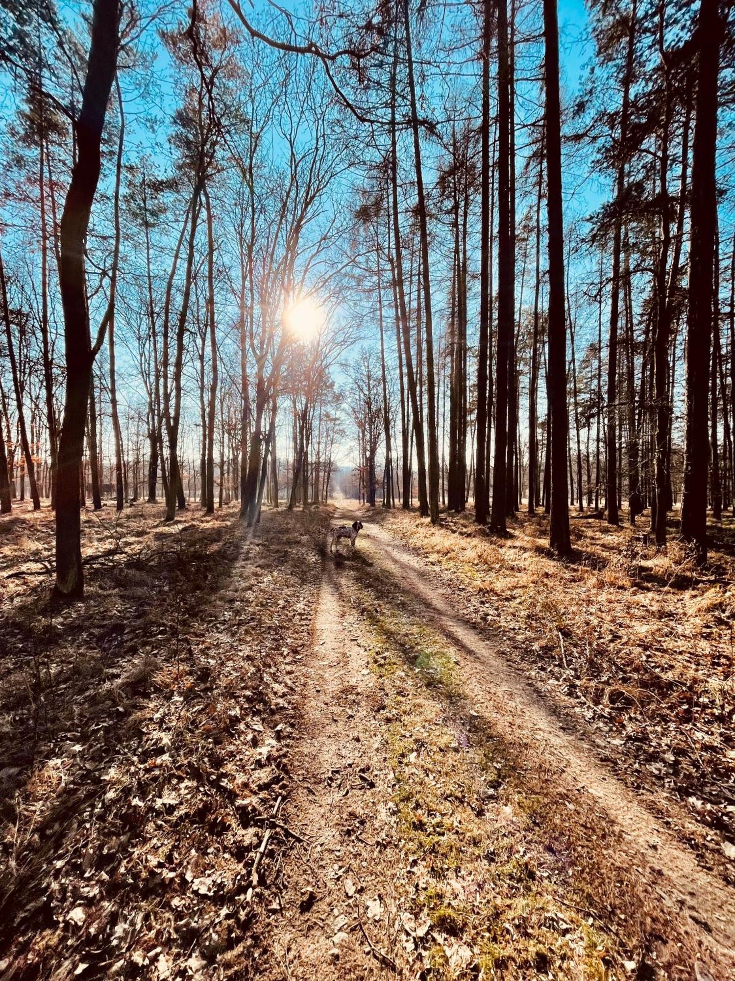 Dvur Nove Zamky Hotel Mladec Buitenkant foto