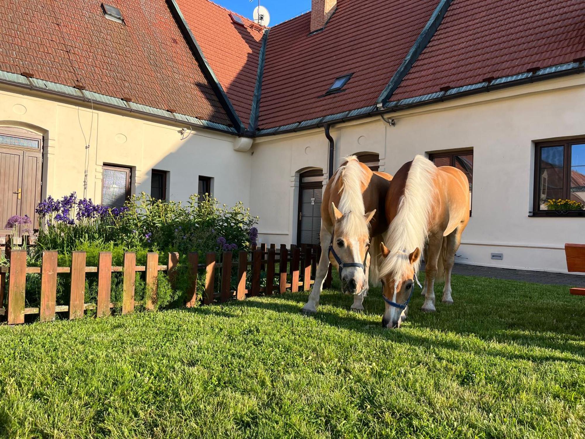 Dvur Nove Zamky Hotel Mladec Buitenkant foto
